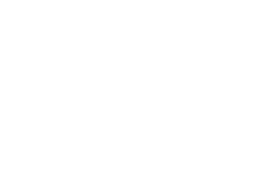Logo White
